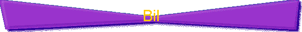 Bil